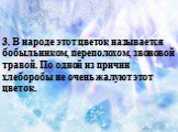 3. В народе этот цветок называется бобыльником, переполохом, звоновой травой. По одной из причин хлеборобы не очень жалуют этот цветок.