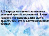 4. В народе этот цветок называется девичьей красой, горожанкой. А еще говорят, что природа дарит силу и яркость тем, кто не боится жизненных невзгод.