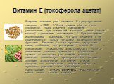 Витамин E (токоферола ацетат). Впервые выявили роль витамина Е в репродуктивном процессе в 1920 г. У белой крысы, обычно очень плодовитой, было отмечено прекращение размножения при длительной молочной диете (снятое молоко) с развитием авитаминоза Е. При дальнейших исследованиях выявилось, что роль в