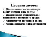 Нервная система Обеспечивает согласованную работу органов и их систем; Поддерживает относительное постоянство внутренней среды; Ориентирует организм в среде; Основа психической деятельности.