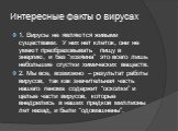 Интересные факты о вирусах. 1. Вирусы не являются живыми существами. У них нет клеток, они не умеют преобразовывать пищу в энергию, и без “хозяина” это всего лишь небольшие сгустки химических веществ. 2. Мы все, возможно – результат работы вирусов, так как значительная часть нашего генома содержит “