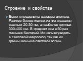 Строение и свойства. Были определены размеры вирусов. Размер более мелких из них оказался равным 20-30 нм, а наиболее крупных 300-400 нм. В среднем они в 50 раз меньше бактерий. Их нельзя увидеть в световой микроскоп, так как их длины меньше световой волны.