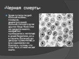 «Черная смерть». Чума пугала людей больше войны, пожаров, землетрясений, больше голода и всех других бедствий. Она не щадила никого, незаметно пробиралась не только в дома бедняков, но и в палаты богачей, во дворцы правителей, и все одинаково ее боялись, потому что спастись от нее не мог никто.