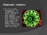 «Красная смерть». Как только где-нибудь распространялся слух, что приближается «красная смерть»(оспа), люди в паническом ужасе разбегались. Оспой заражались очень легко, и поэтому тот, кто убегал от зараженного места, уносил с собой заразу, заболевал и умирал в дороге. В прошлые времена редко встреч