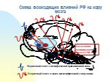 Схема восходящих влияний РФ на кору мозга. Первичный ответ специфической проекционной зоны. Вторичный ответ в зонах неспецифической стимуляции. Восходящая активирующая система РФ