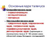 Основные ядра таламуса. Специфические ядра - переключающие - ассоциативные - моторные Неспецифические ядра - срединные ядра, надколенное ядро, пограничное ядро, парафасцикулярное ядро, ретикулярное ядро (проекция к полосатому телу и V -VI слоям всех областей коры больших полушарий)