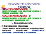 Ассоциативные системы таламуса. ТАЛАМОПАРИЕТАЛЬНАЯ: ОТ ЗАДНЕЛАТЕРАЛЬНОГО ЯДРА И ПОДУШКИ ТАЛАМУСА К ТЕМЕННОЙ И ВИСОЧНОЙ КОРЕ ТАЛАМОФРОНТАЛЬНАЯ: ОТ МЕДИОДОРСАЛЬНОГО И ПЕРЕДНЕГО ЯДЕР ТАЛАМУСА К ФРОНТАЛЬНОЙ И ЛИМБИЧЕСКОЙ КОРЕ Механизмы работы: 1) Мультисенсорная конвергенция 2) Пластическая перестройка 