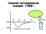 Тормозной постсинаптический потенциал ( ТПСП ). - 94 0 4 6 8 К+ Cl ГИПЕРПОЛЯРИЗАЦИЯ