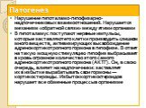 Нарушение гипоталамо-гипофизарно-надпочечниковых взаимоотношений. Нарушается механизм «обратной связи» между этими органами В гипоталамус поступают нервные импульсы, которые заставляют его клетки производить слишком много веществ, активизирующих высвобождение адренокортикотропного гормона в гипофизе