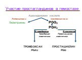 Участие простагландинов в гемостазе. Арахидоновая кислота Липоксигеназа Циклооксигеназа Лейкотриены PGG2 PGH2 В тромбоцитах В эндотелии Тромбоксан- Простациклин- синтетаза синтетаза ТРОМБОКСАН ПРОСТАЦИКЛИН PGA2 PGI2