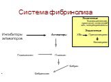 Система фибринолиза. Экзогенные Тканевые(легкие, простата), эндотелий вен, микроорганизмы Эндогенные Ингибиторы Активаторы XIIa Прекалликреин активаторов Калликреин Плазминоген Плазмин Фибрин Фибринолиз