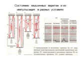 Состояние мышечных веретен и их импульсация в разных условиях