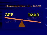 Взаимодействие NP и RAAS