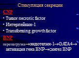 Стимуляция секреции. CNP Tumor necrotic factor Интерлейкин-1 Transforming growth factor BNP перенагрузкаэндотелин-1GATA4 активация гена BNPсинтез BNP