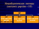 Натрийуретические пептиды (natriuretic peptides – NP)