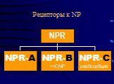 Рецепторы к NP