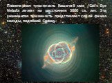 Планетарная туманность Кошачий глаз /Cat's Eye Nebula лежит на расстоянии 3000 св. лет. Эта знаменитая туманность представляет собой финал звезды, подобной Солнцу.