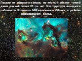 Похоже на морского конька, но темный объект - столб дыма длиной около 20 св. лет. Эта структура находится поблизости Большого Магелланового Облака, в районе формирования звёзд. звезд.