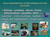 Give characteristics of the following animals and birds: Strong, cunning, clever, funny, independent, naughty, kind, … Example: A fox is strong, cunning, clever and independent. It runs very fast.