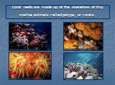 Coral reefs are made up of the skeletons of tiny marine animals called polyps, or corals.
