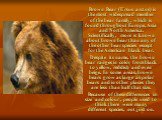 Brown Bear (Ursus arctos) is the most widespread member of the bear family, which is found throughout Europe, Asia and North America. Scientifically, more is known about brown bear than any of the other bear species escept for the American black bear. Despite its name, the brown bear ranges in color