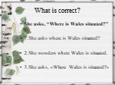What is correct? She asks, “Where is Wales situated?” 1.She asks where is Wales situated? 2.She wonders where Wales is situated. 3.She asks, «Where Wales is situated?»