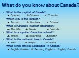 What is the capital of Canada? a. Quebec b. Ottawa c. Toronto Which city is the largest? a. Toronto b. Montreal c. Ottawa What is Canada’s nearest neighbour? a. The USA b. Russia c. Australia What is a popular Canadian animal? a. coyote b. polar bear c. beaver What is the national tree in Canada? a.