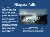 Niagara Falls is a great tourist attraction, luring millions of visitors each year. The falls may be viewed from parks located on either side of the river, from observation towers, from boats, from Goat Island, and from the Rainbow Bridge, located a short distance downstream. Visitors also may enter