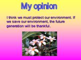 I think we must protect our environment. If we save our environment, the future generation will be thankful. My opinion