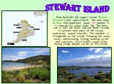 New Zealand’s 3rd largest island, Stewart Island is a very special place. The only town is Oban with population about 400 people. It is a heaven for native birds’ life. The kiwi, rare in both the North and the South Island, is common over much of the island, particularly around beaches. The weather 