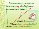 Специальные вопросы. Tom is eating shashlyk now because he is hungry. What is Tom eating? When is Tom eating shashlyk? Why is Tom eating shashlyk?