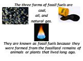 The three forms of fossil fuels are coal, oil, and natural gas. They are known as fossil fuels because they were formed from the fossilized remains of animals or plants that lived long ago.
