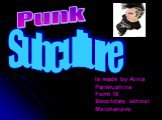 Subculture Punk. Is made by Alina Pankrushina Form 10 Secondary school Molchanovo