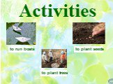 Activities to plant seeds to plant trees to run boats