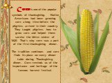 Corn is one of the popular symbols of thanksgiving. Native Americans had been growing corn a long time before the pilgrims arrived in their country. They taught pilgrims how to grow corn and helped them survive the bitter winter of 1620. That’s why corn was a part of the first thanksgiving dinner. T