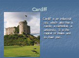 Cardiff. Cardiff is an industrial city, which also has a castle, a cathedral, a university. It is the capital of Wales and its main port.