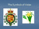 The Symbols of Wales