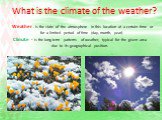 What is the climate of the weather? Weather - is the state of the atmosphere in this location at a certain time or for a limited period of time (day, month, year). Climate - is the long-term patterns of weather, typical for the given area due to its geographical position.