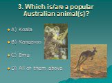 3. Which is/are a popular Australian animal(s)? A) Koala B) Kangaroo C) Emu D) All of them above