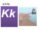 a kite