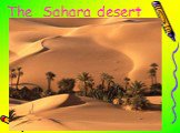 The Sahara desert