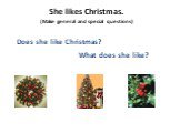 She likes Christmas. (Make general and special questions). Does she like Christmas? What does she like?