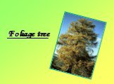 Foliage tree