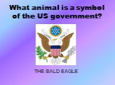 What animal is a symbol of the US government? THE BALD EAGLE