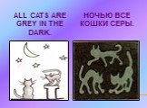 ALL CATS ARE GREY IN THE DARK. НОЧЬЮ ВСЕ КОШКИ СЕРЫ.