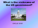 What is the nickname of the US government? UNCLE SAM