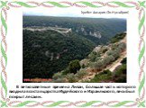 В ветхозаветные времена Ливан, большая часть которого входила в состав царства Иудейского и Израильского, весь был покрыт лесами. Хребет Ансария (Эн-Нусайрия)