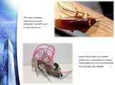 Изучая опорно-двигательный аппарат животных и насекомых, конструкторы создают роботов, способных ловко передвигаться и выполнять целый ряд функций
