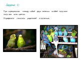При скрещивании между собой двух зеленых особей получили попугаев всех цветов. Определите генотипы родителей и потомков.