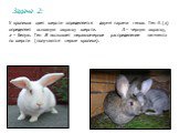 У кроликов цвет шерсти определяется двумя парами генов. Ген А (а) определяет основную окраску шерсти. А – черную окраску, а – белую. Ген В вызывает неравномерное распределение пигмента по шерсти (получаются серые кролики).